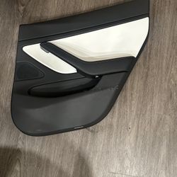 Tesla Model 3 Right Rear Door Panel