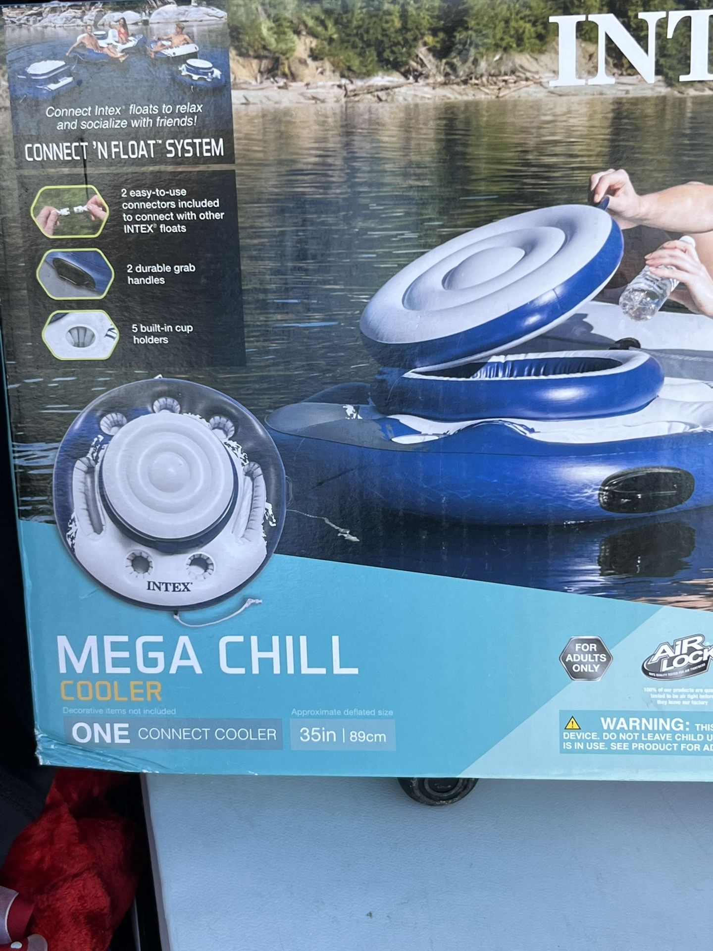 Pool Float