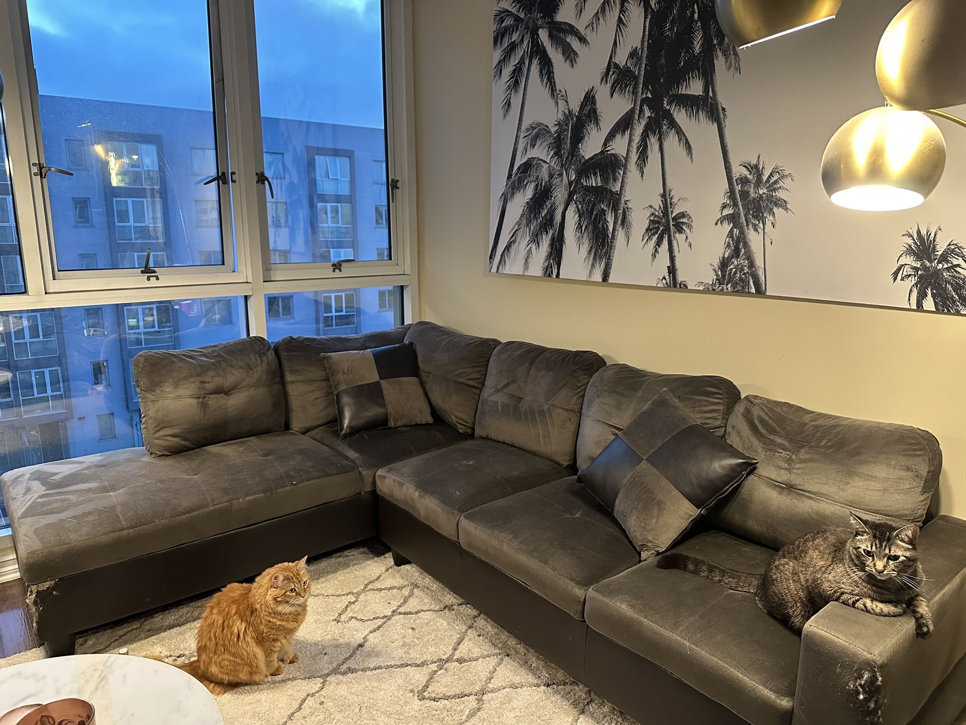 Sectional Couch, Foot Rest Storage, & Pillows