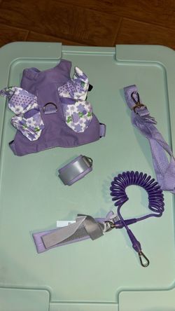 Toddler safety harness