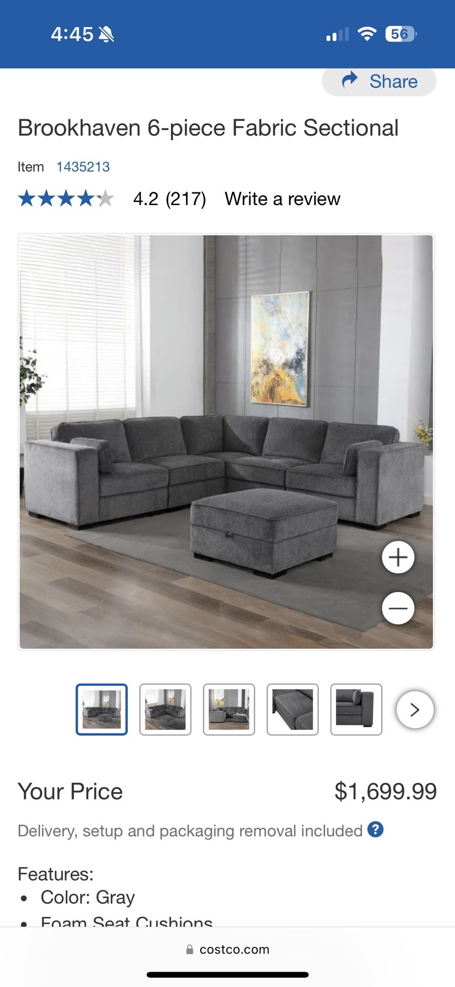 Sectional Couch From Costco