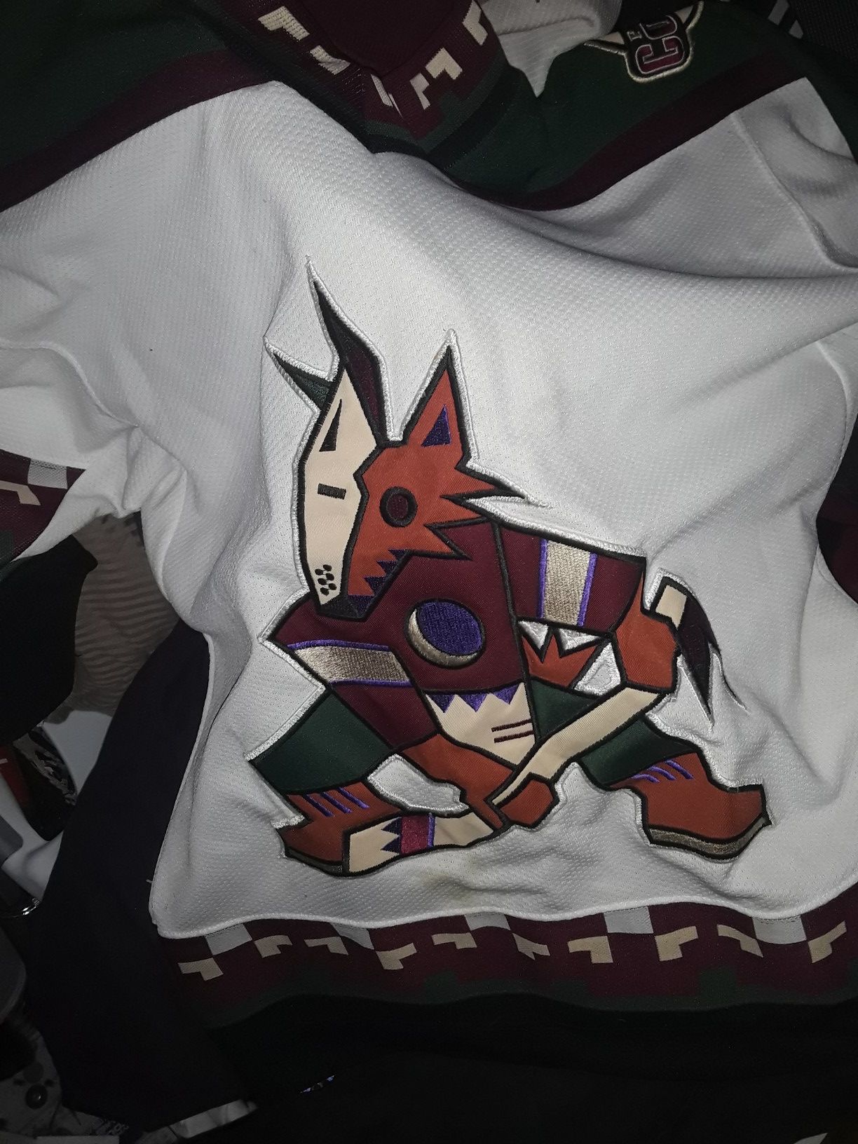 Oldschool coyotes Jersey youth