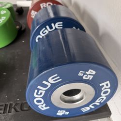 Rogue Loadable Dumbbell with 45lb and 55lb Bumpers