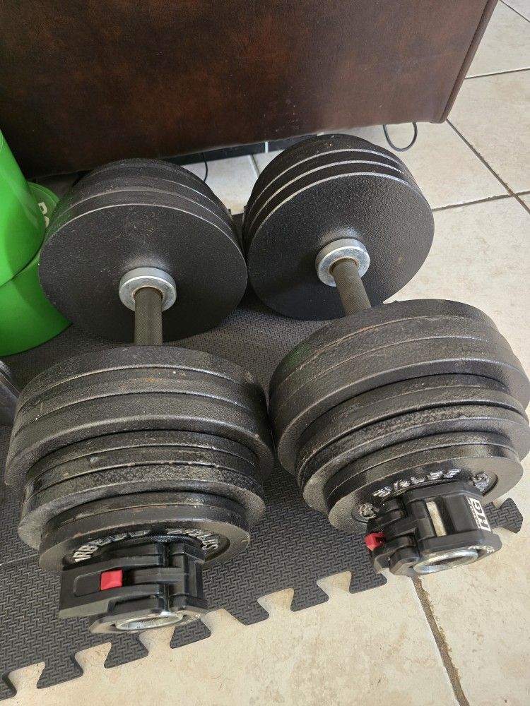 Weight Rogue Adjustable Dumbbells