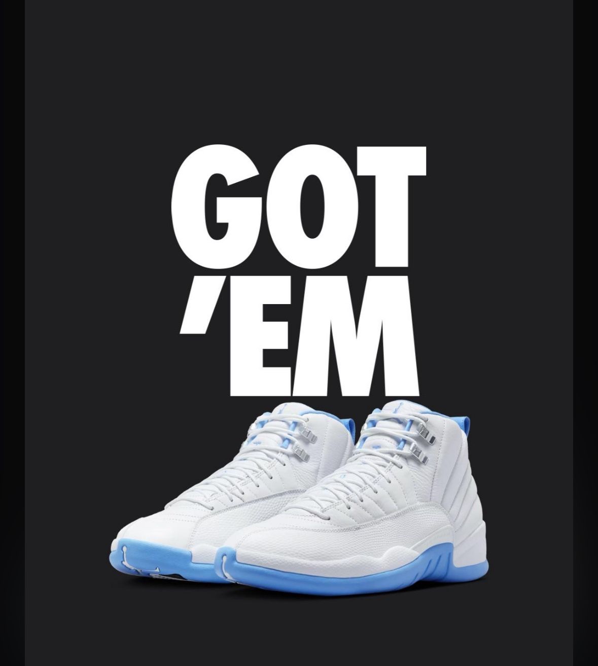 Jordan’s 12