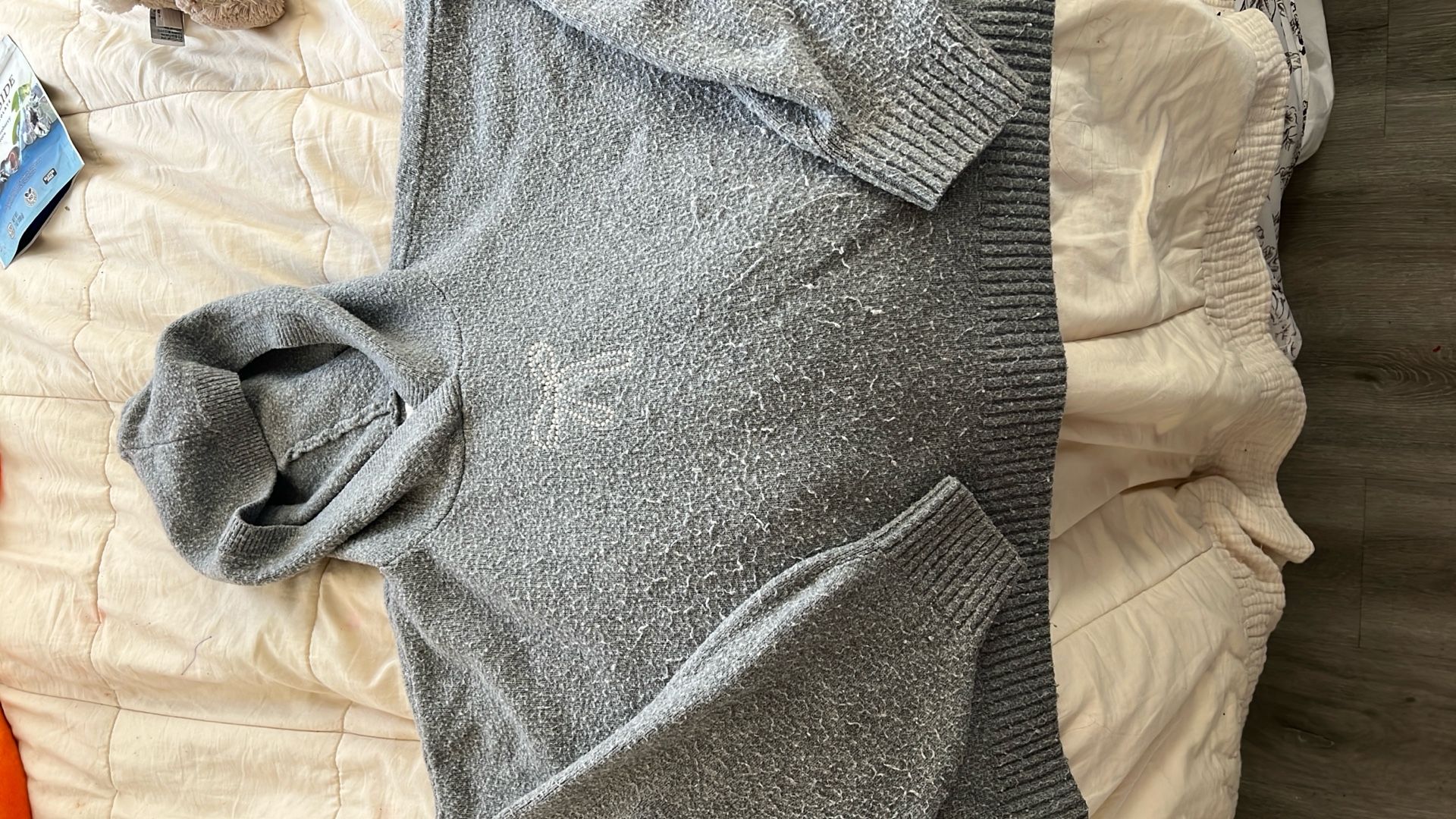 Grey Hollister Hoodie
