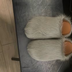 Marini slides