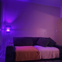 Wayfair Couch