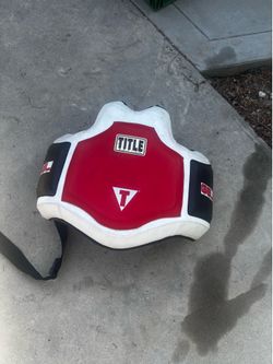 Title body protector