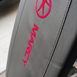 Brand New Just Assembled. Bench/Leg Extension 