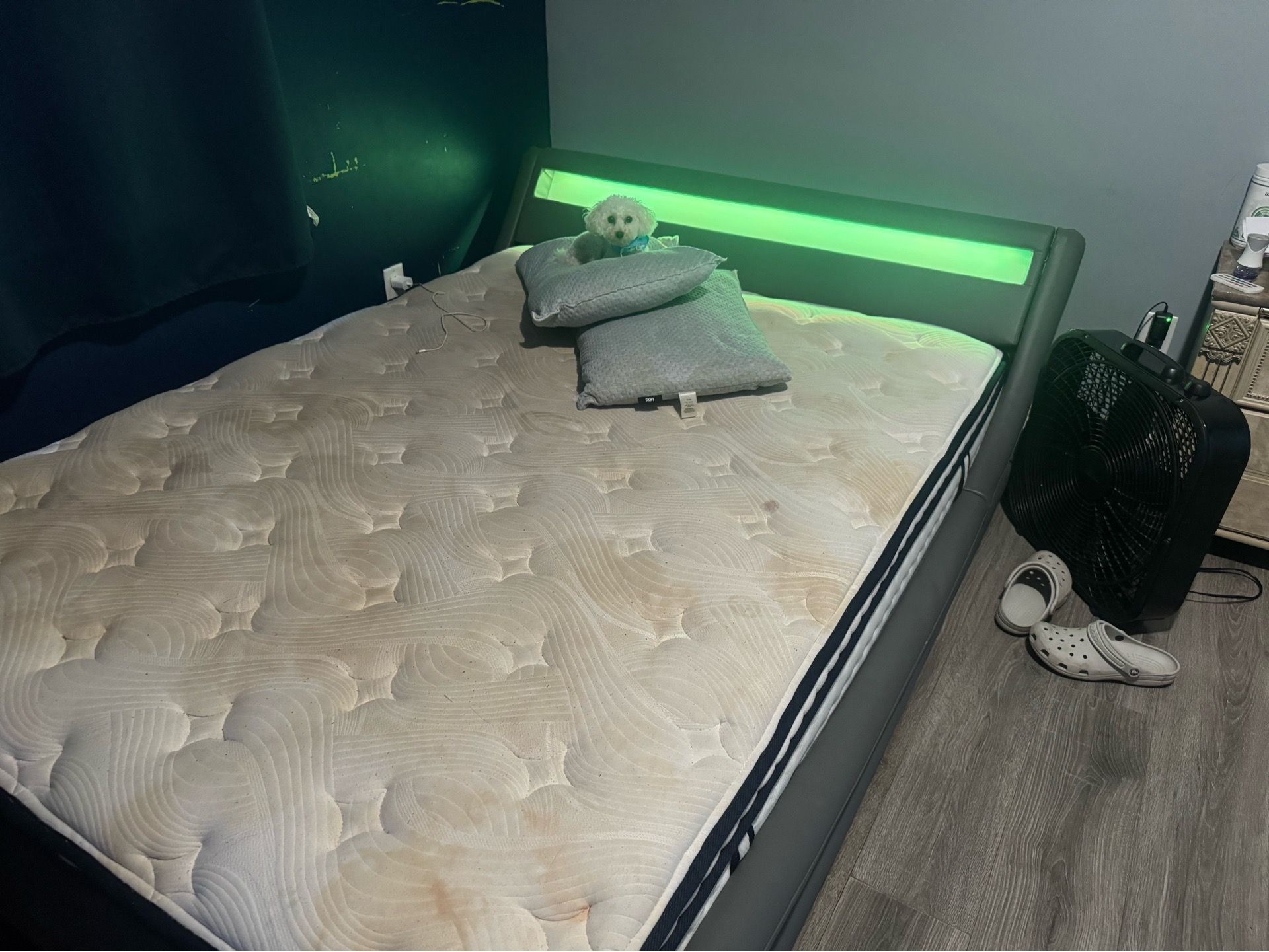 Bed frame only with leds