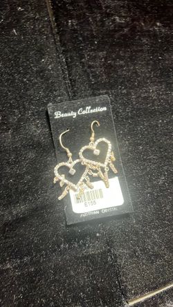 Earring jewelry