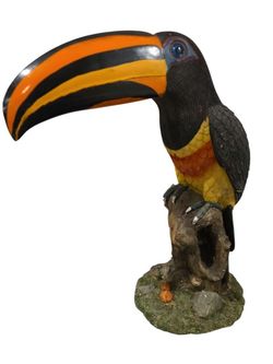 Large Tucan Bird
