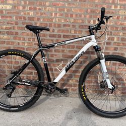 Novara Tupelo 29 er Professional Gravel Mountain Bike Hybrid Fully Tuned Up Hydraulic Brakes Etc for Sale in Chicago IL OfferUp