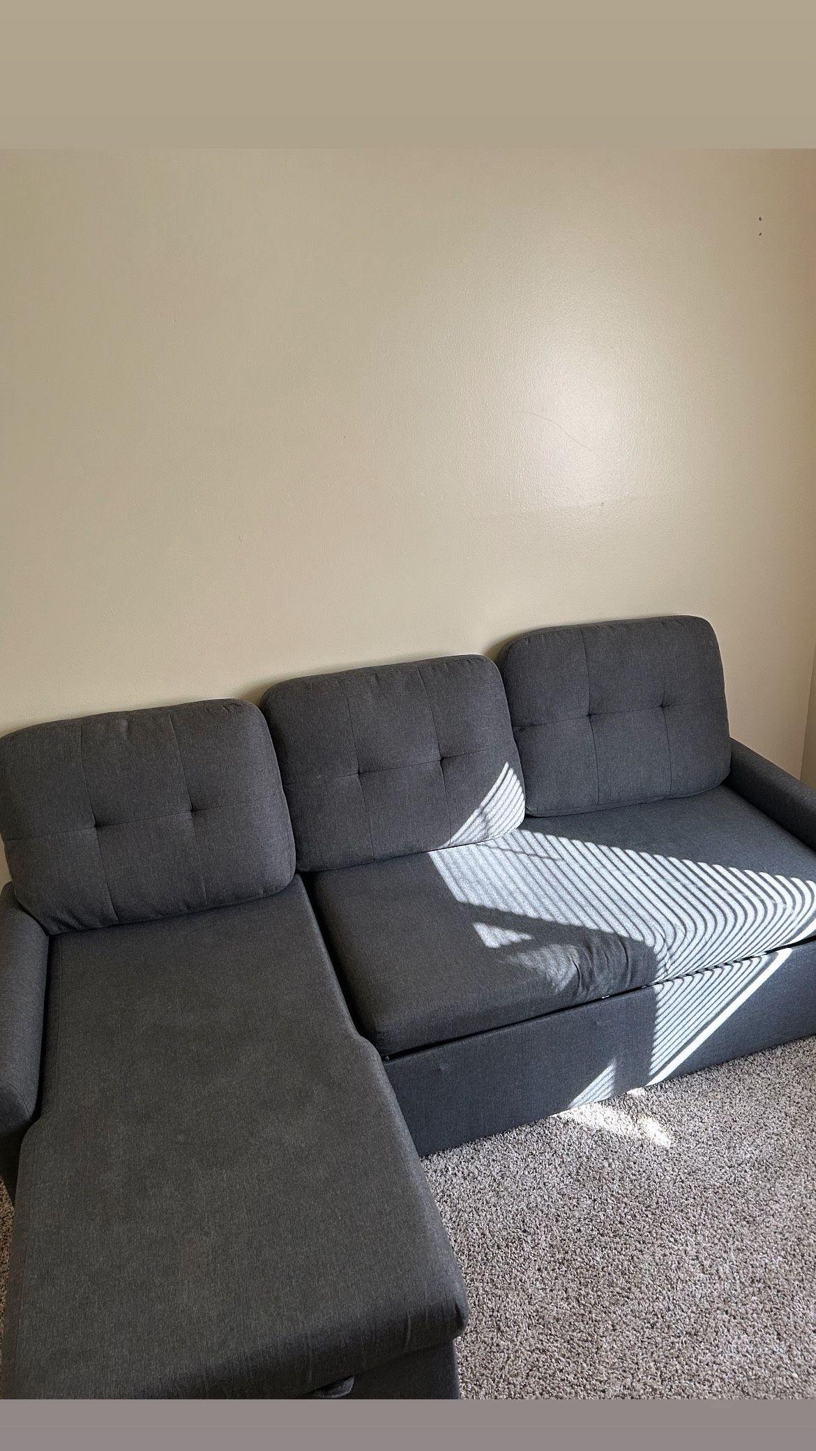 Pull out couch