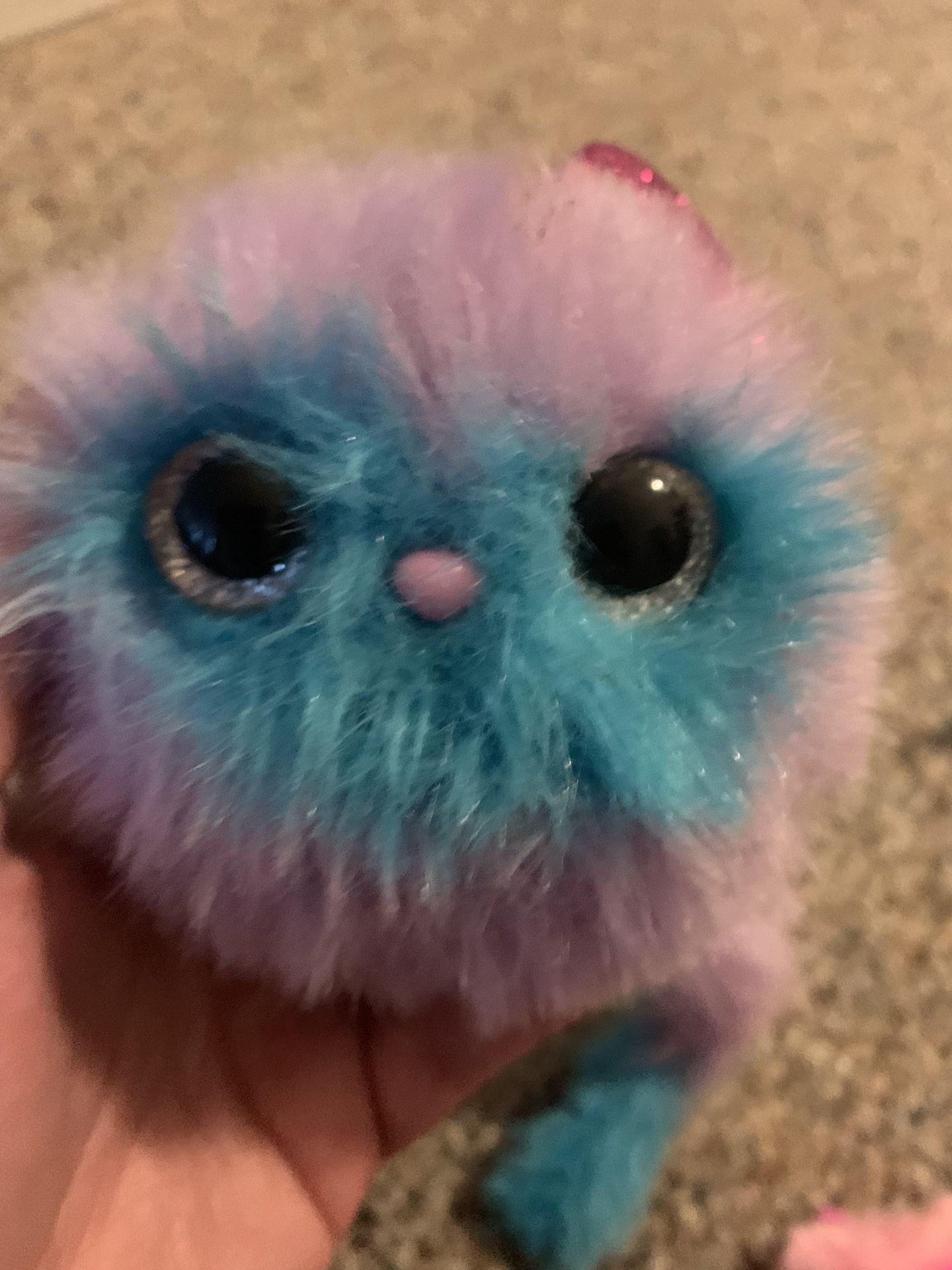 Pomsie