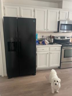 Kenmore Refrigerator