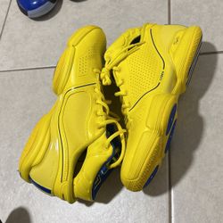 Drose Allstar Shoe Size 8.5