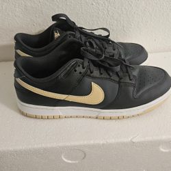 Nike Dunk Low Retro Shoes.