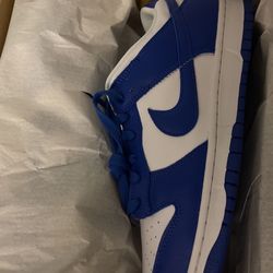 Nike Dunks Kentucky
