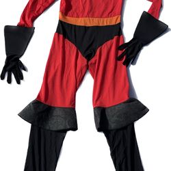 Elasti-Girl Adult Large