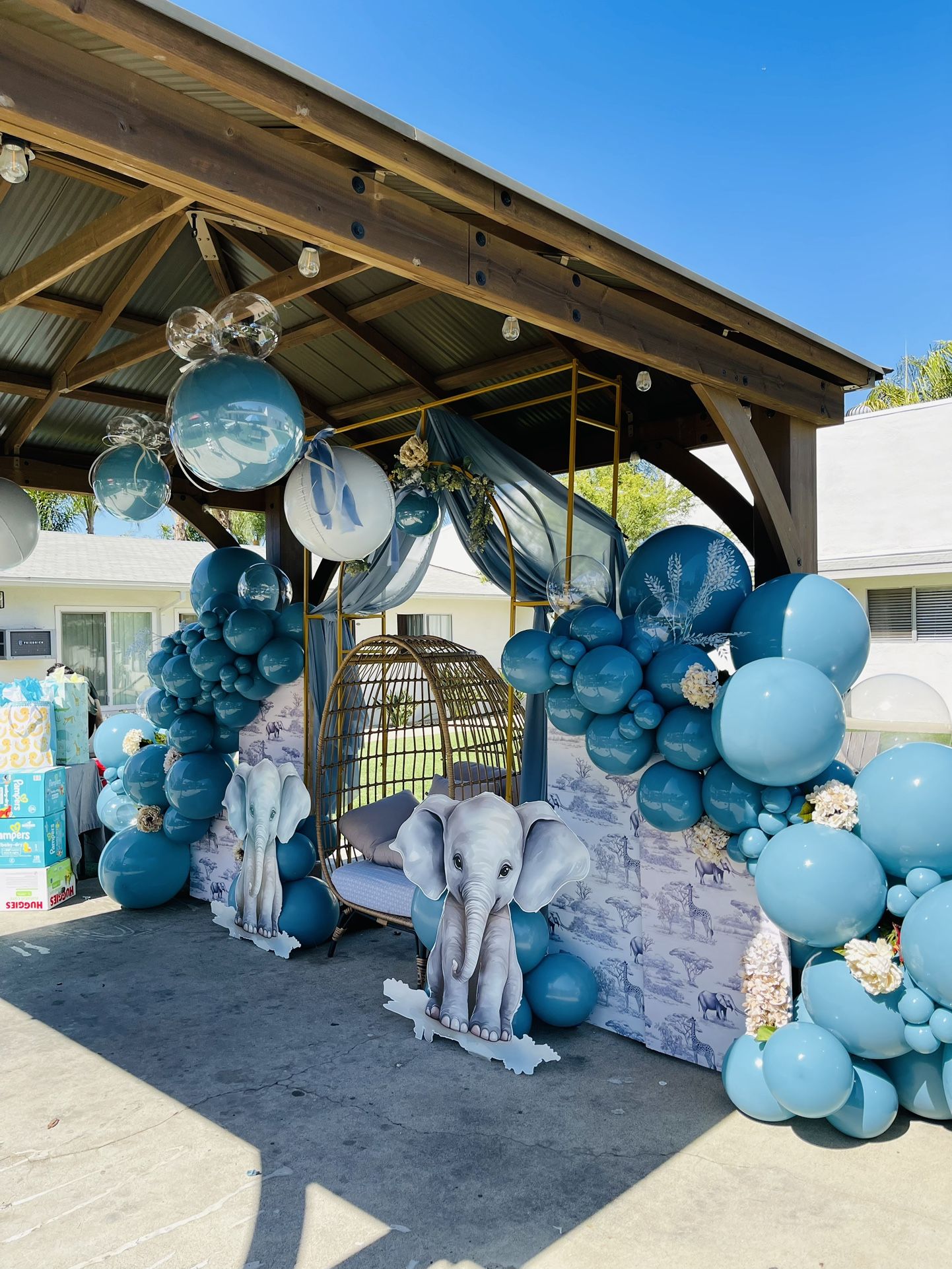 Backdrop | Balloons | Luxury Picnic |