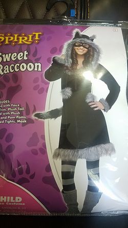 Raccoon Child Costume XL 14-16