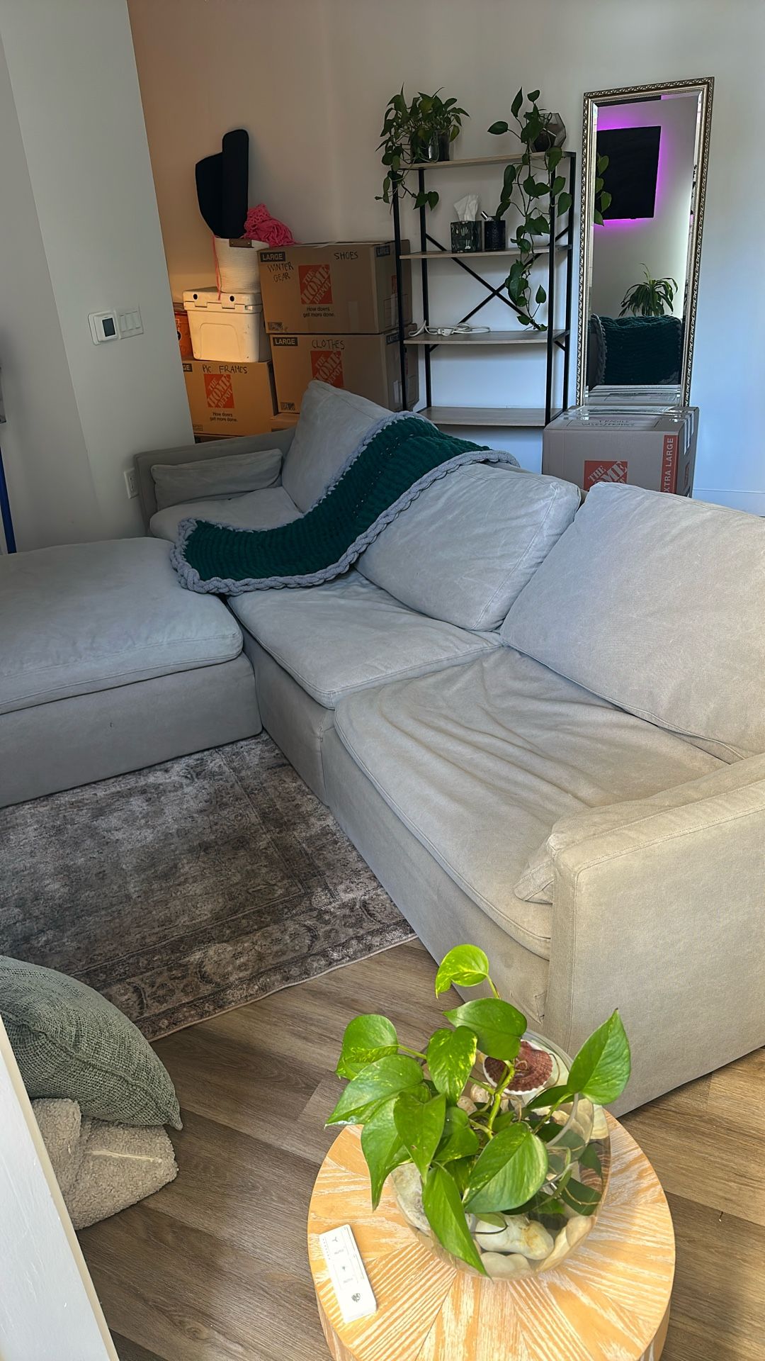 Large Couch/sectional