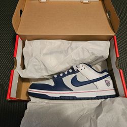 Nike Dunk size 8.5 men