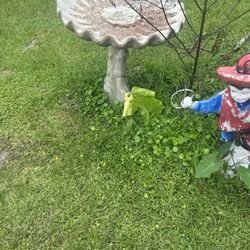 Bird Bath