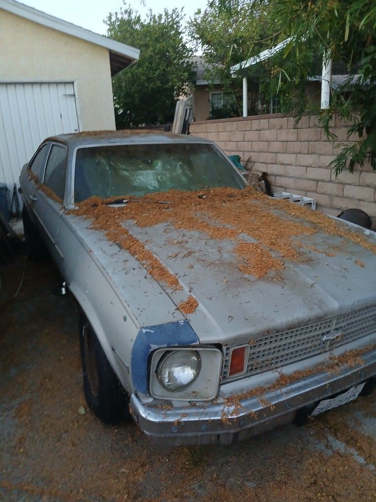 1975 Chevrolet Nova