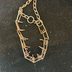 Collar For German Shepherd 