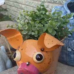 Garden Pig 🐖 Pot 