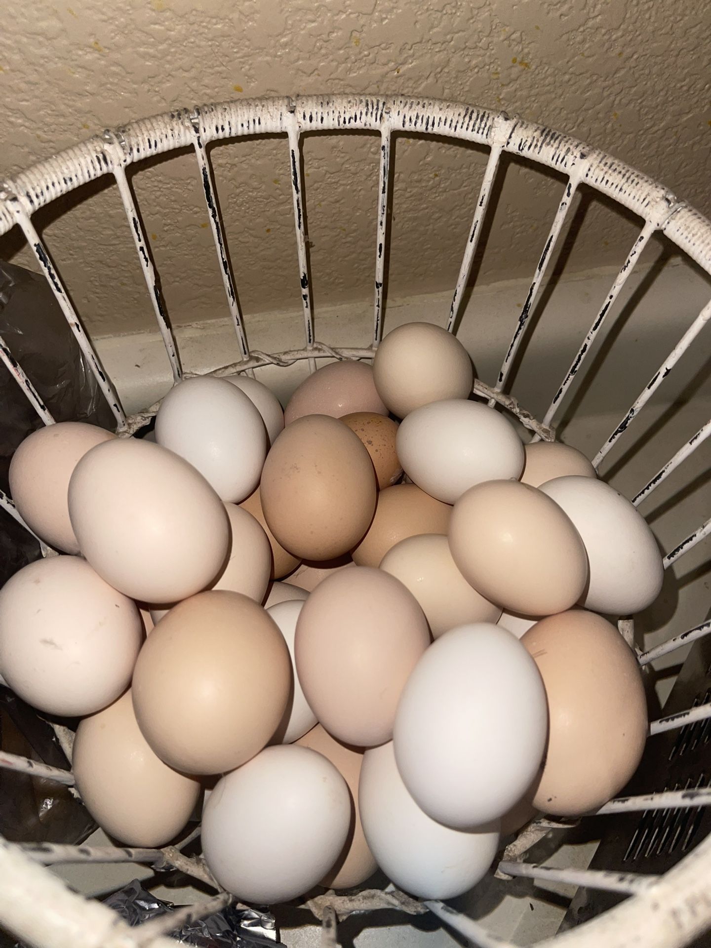Eggs