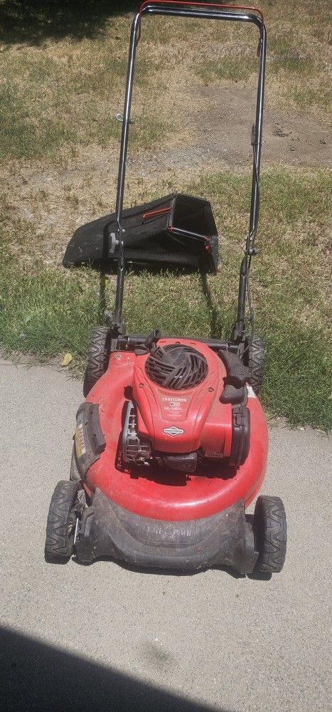 gas lawn mower 