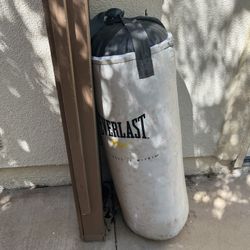 Everlast Punchingbag