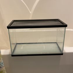 10 Gallon Aquarium 