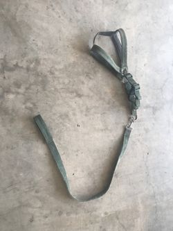 Dog leash/harness