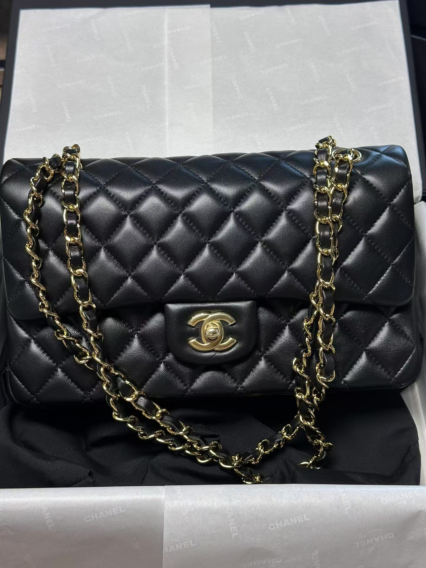 Brand New Chanel bag