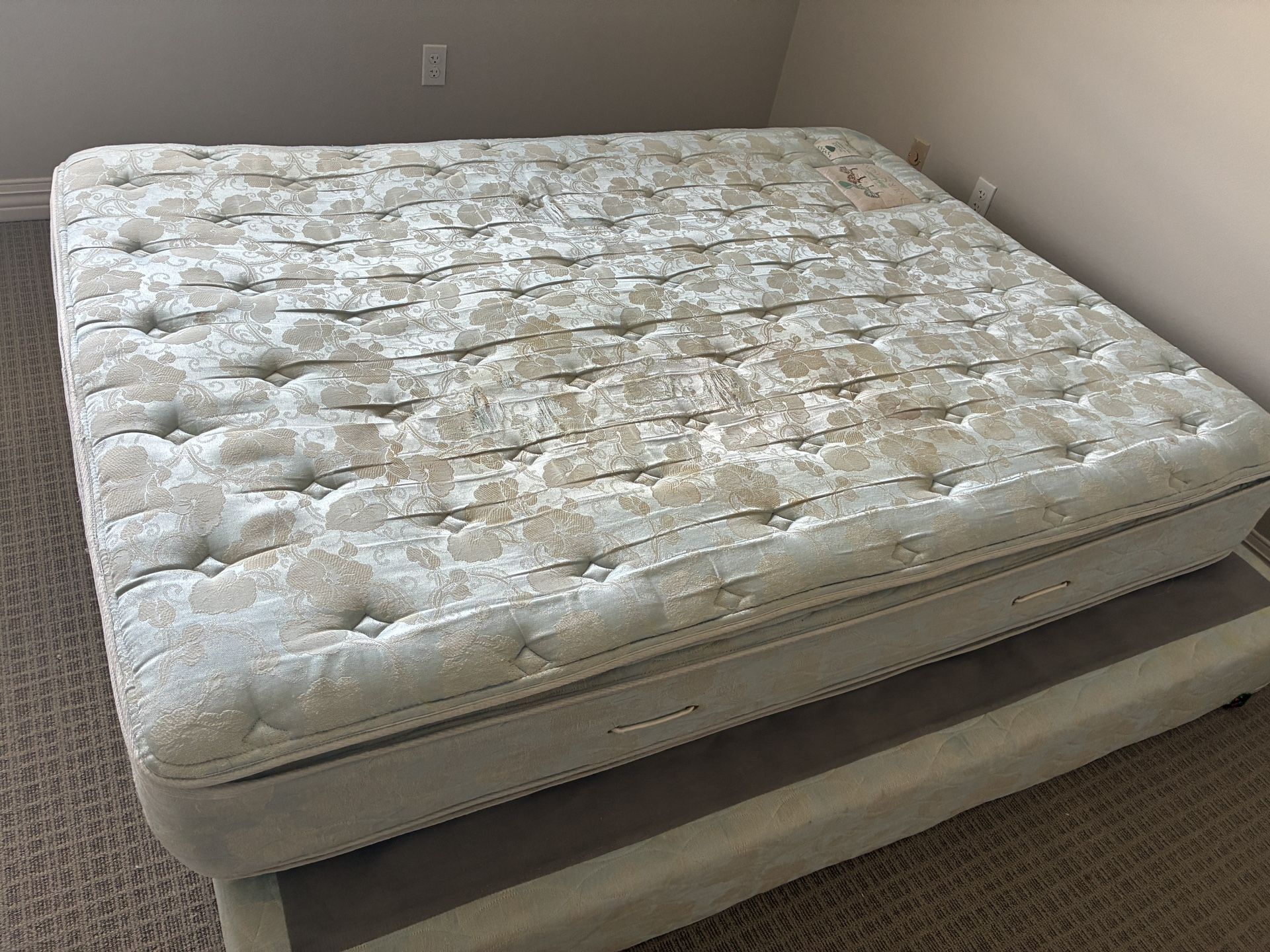 Queen Size Mattress And Box Springs Free