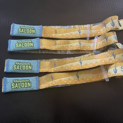 Stagecoach VIP Saloon Passes