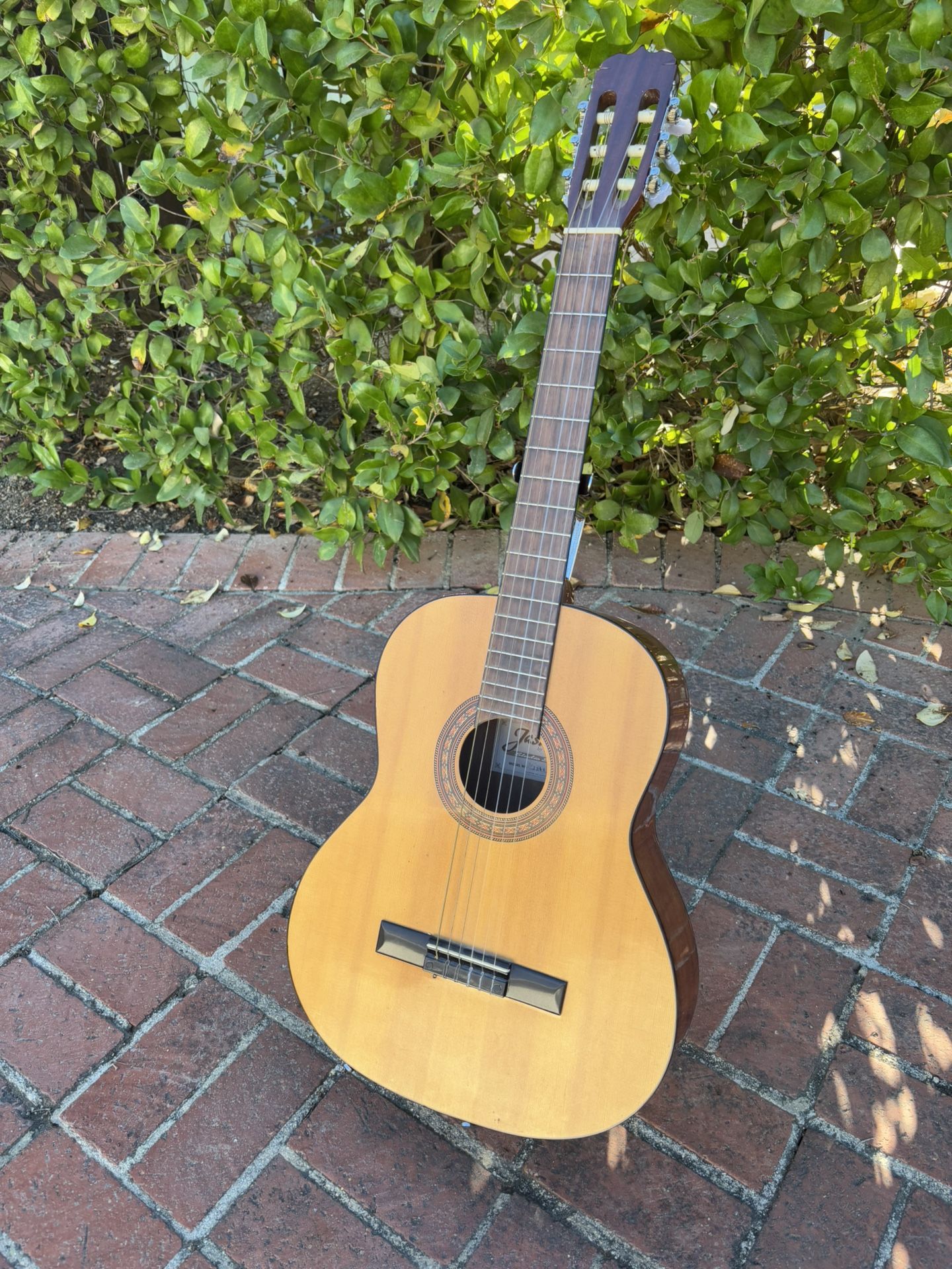Jasmine Acoustic Guitar