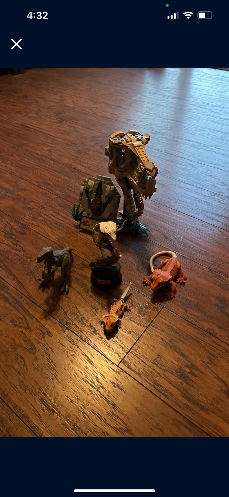 Crested Gecko Toys + Cages