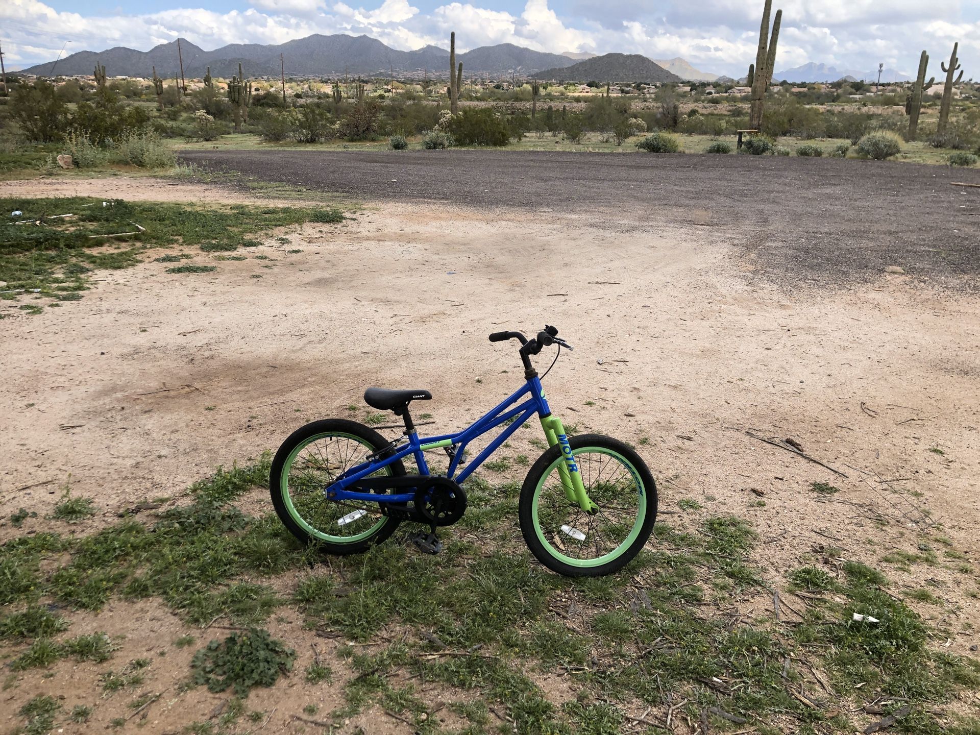 Giant motr kids bike. 20 inch