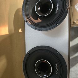 Cicada Audio 8in Horn Speakers $350