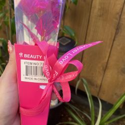 Cute Flower Gift 🎁 
