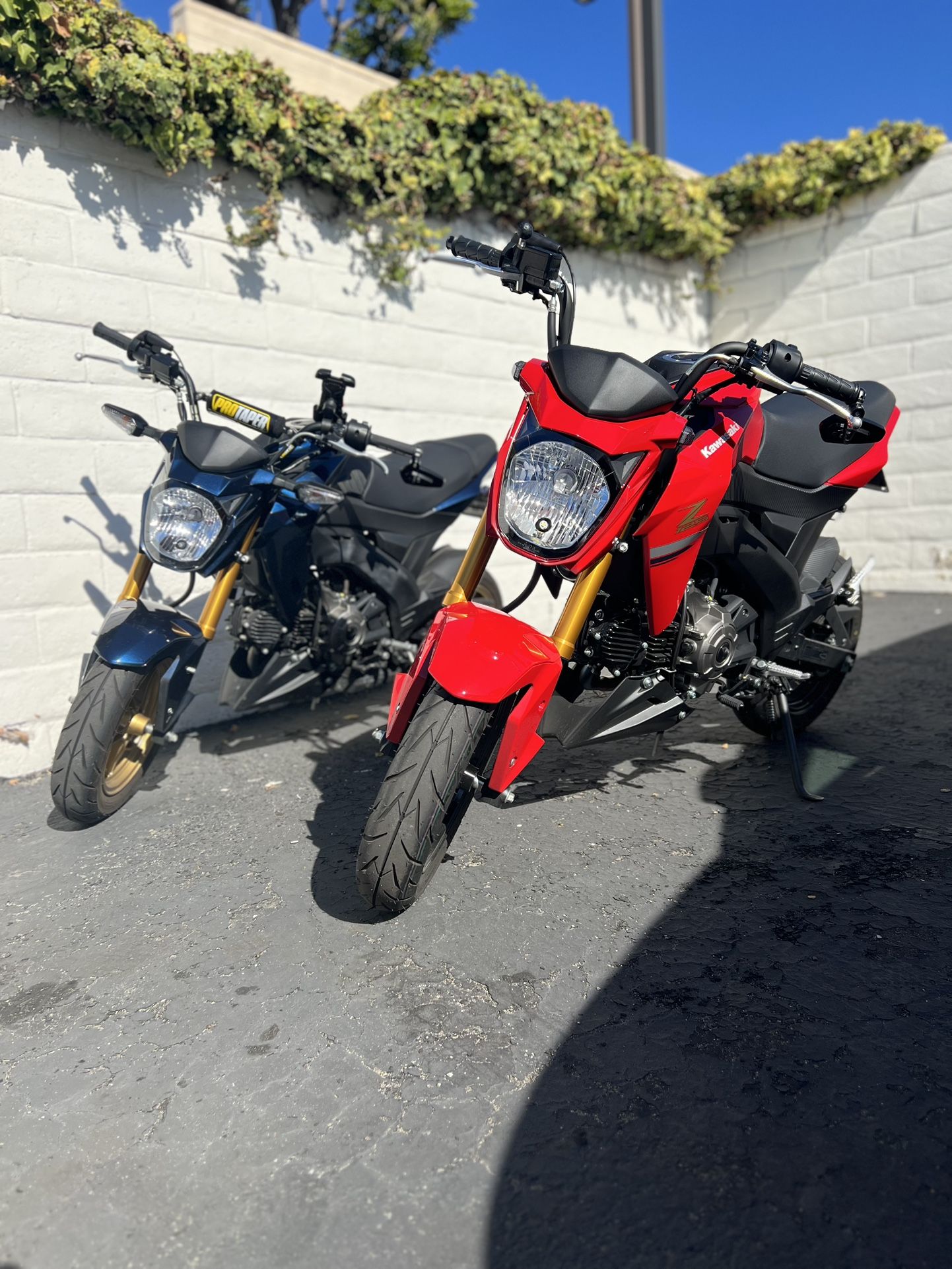 2023 Kawasaki Z125 Pro