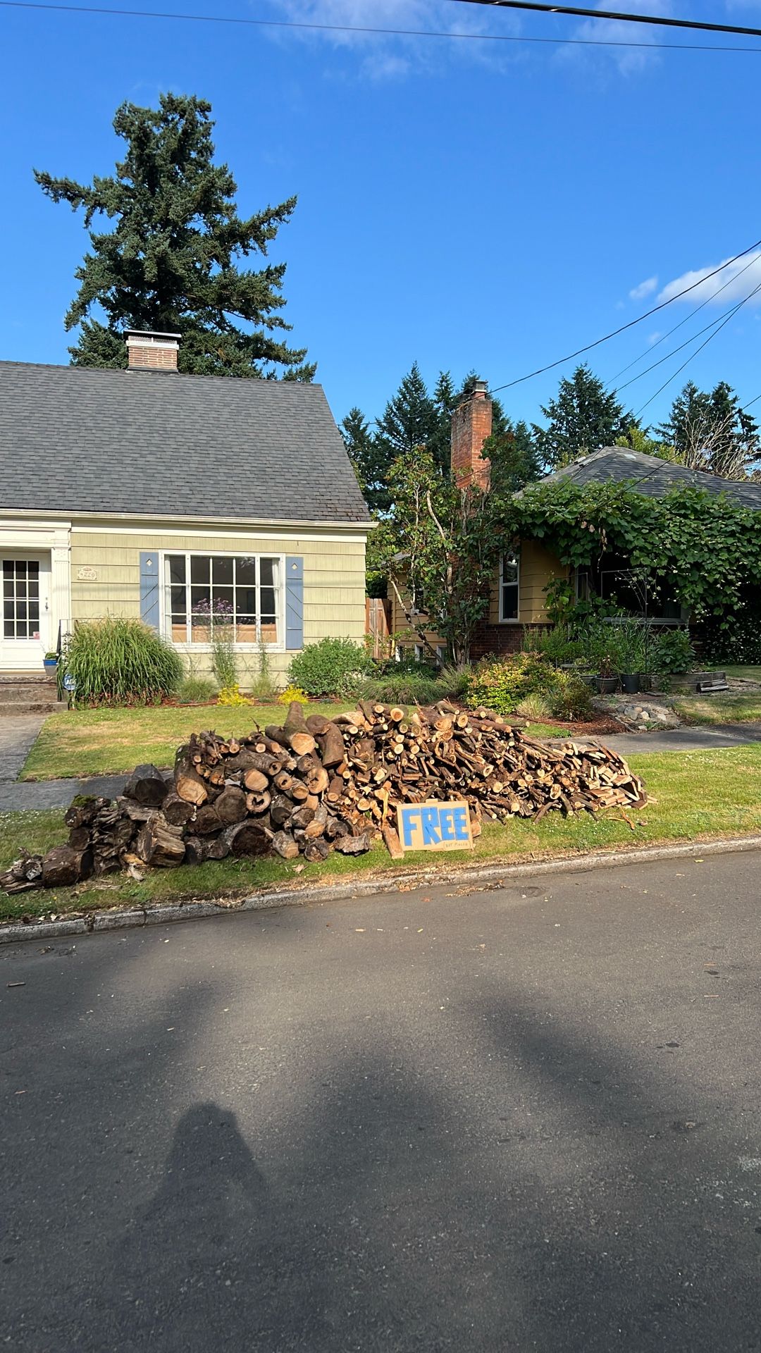 Free Wood