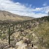 South Scottsdale 