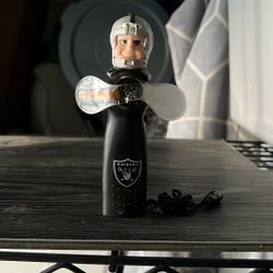 Raider Fan